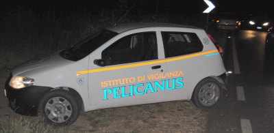 auto_pelicanus