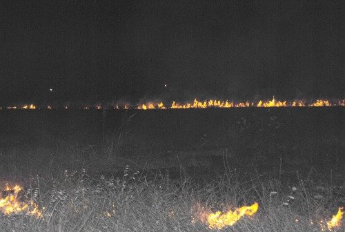 incendio_28_06_2011_2