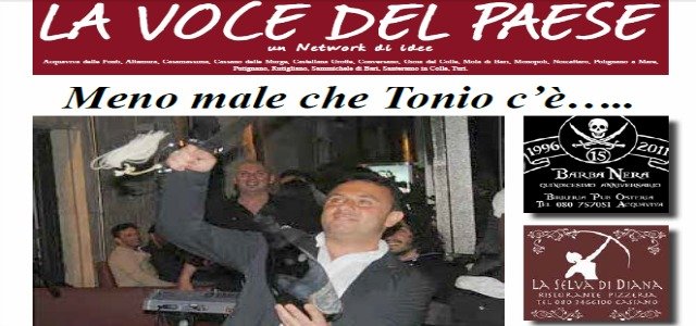copertina anno IV n. 29