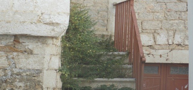 piantine centro storico 1
