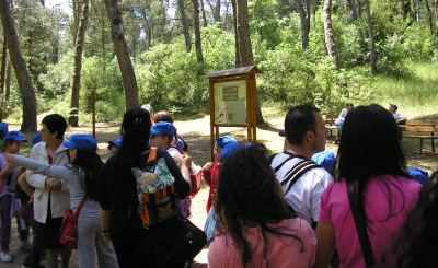 visita alla foresta mercadante