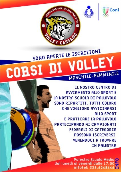 Volantino volley 2013