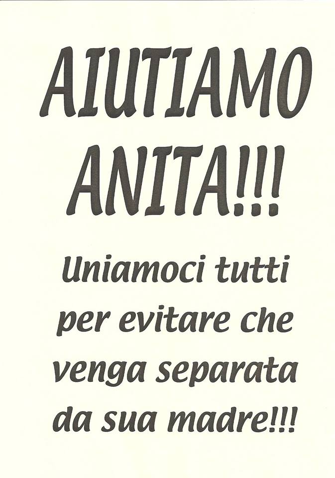 volantino aiutiamo anita