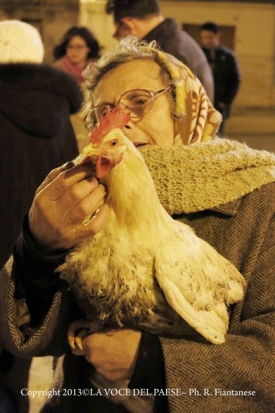 festa di santantonio 2