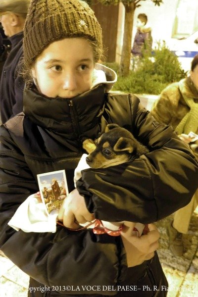 festa di santantonio 3