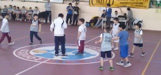basket