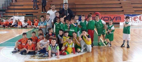basket scoiattoli grande