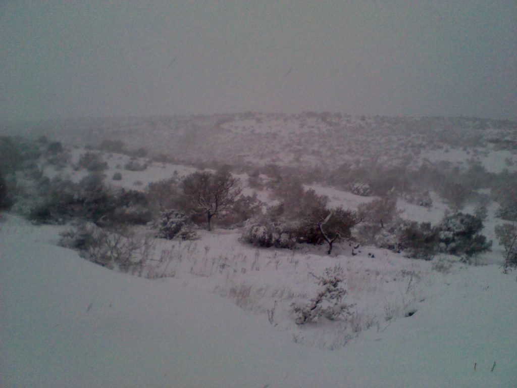 IMG 20141231 101837