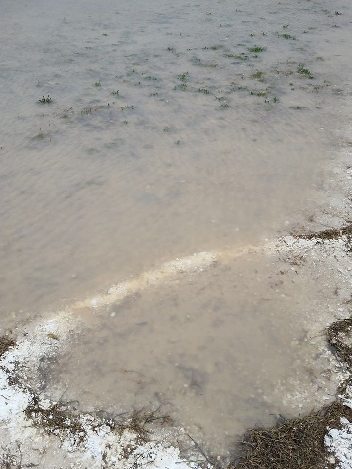 campo via Grumo impraticabile 2