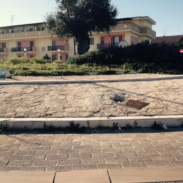 rotonda via sannicandro