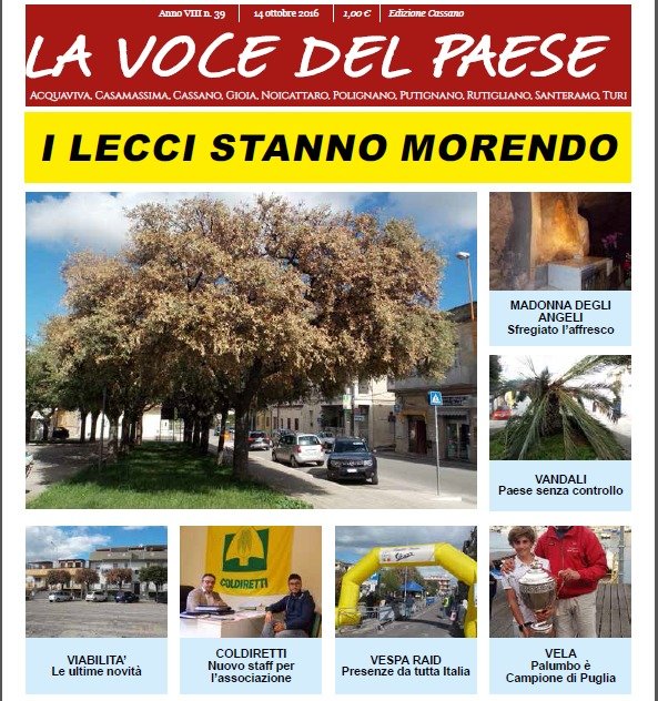 copertina n. 39 copy