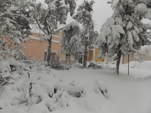 piazza galilei con rami spezzati