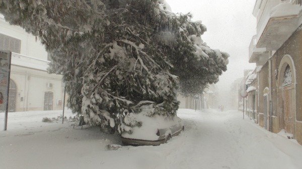 rami in piazza Galilei