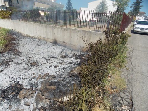 DSCN0003-iloveimg-resized 1