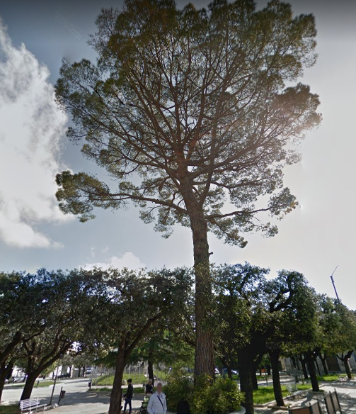 Immagine-iloveimg-cropped copy copy copy copy copy copy copy copy copy copy copy copy copy