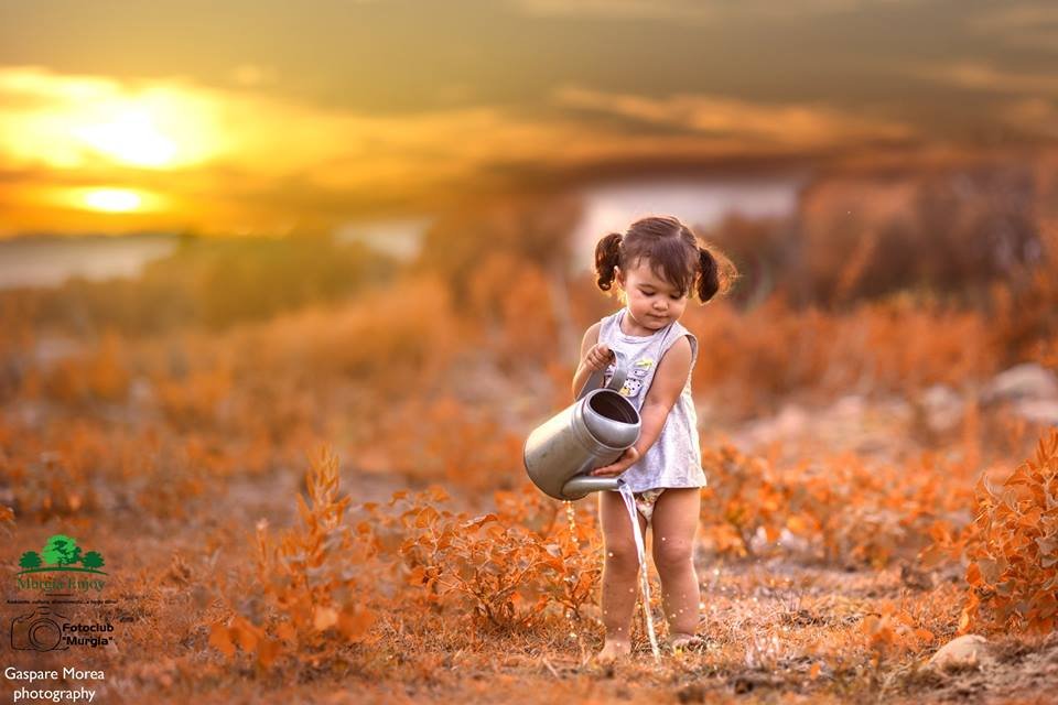 immagine vincente