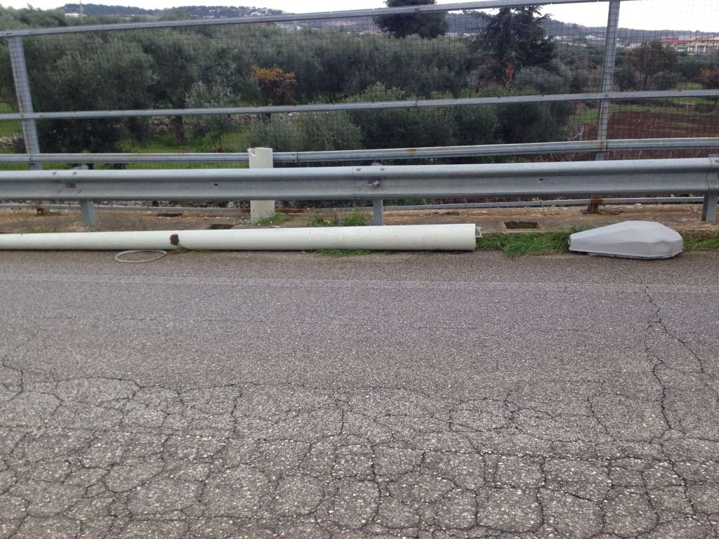 WhatsApp Image 2018-12-18 at 11.50.08 1