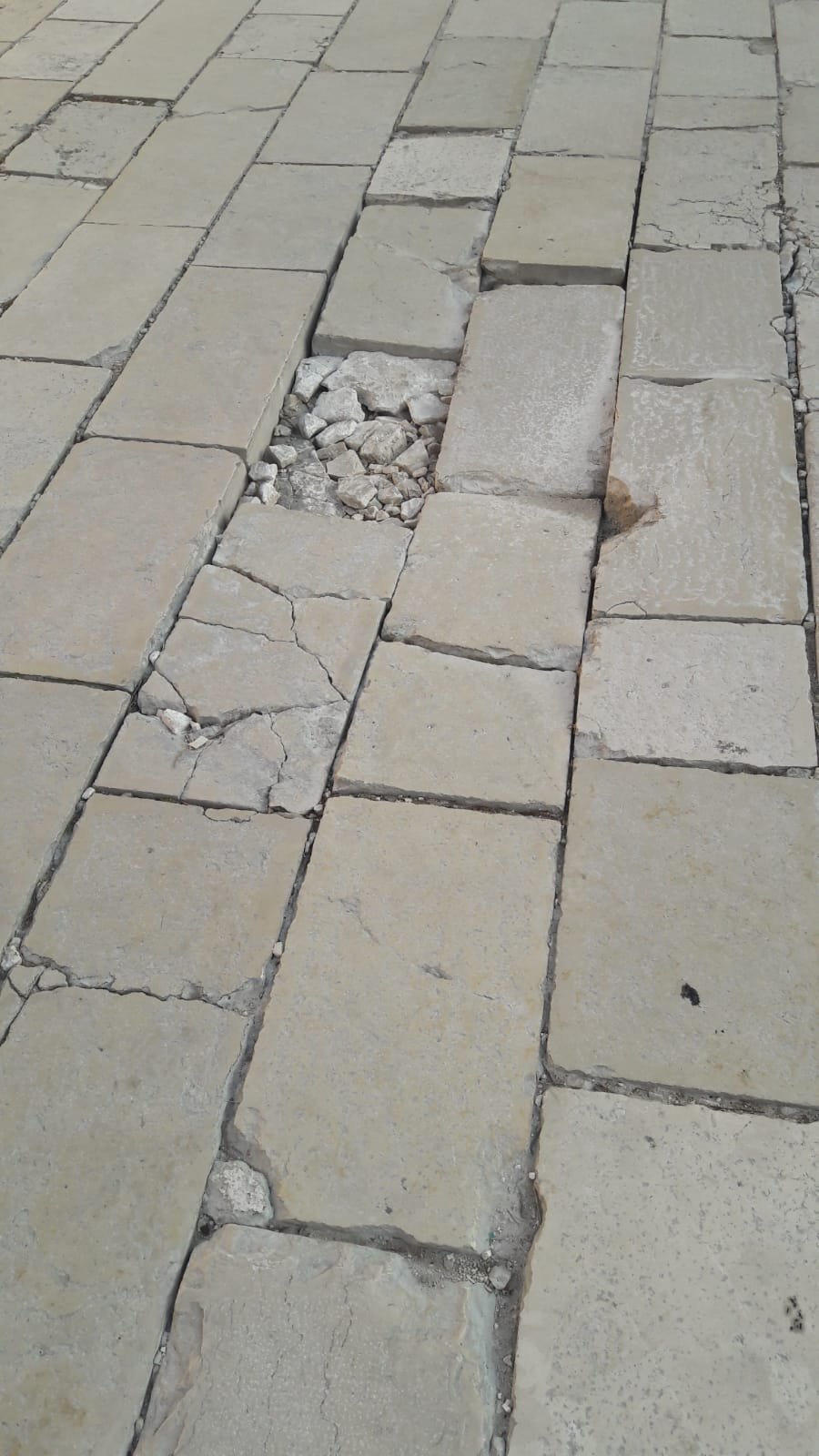 WhatsApp Image 2019-04-19 at 07.11.54