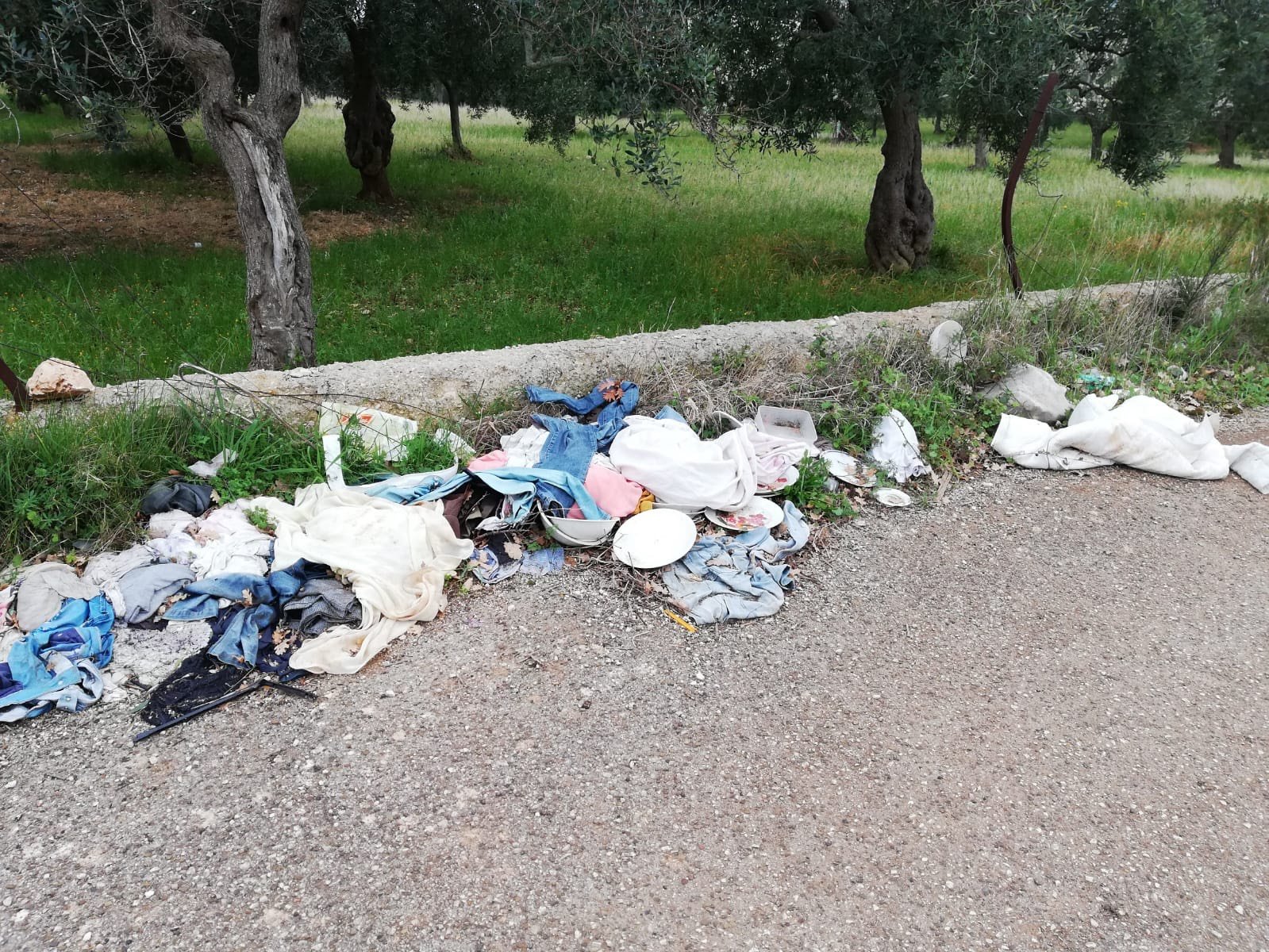 f96ca8c0-719e-45b5-8f61-438e8c81787f