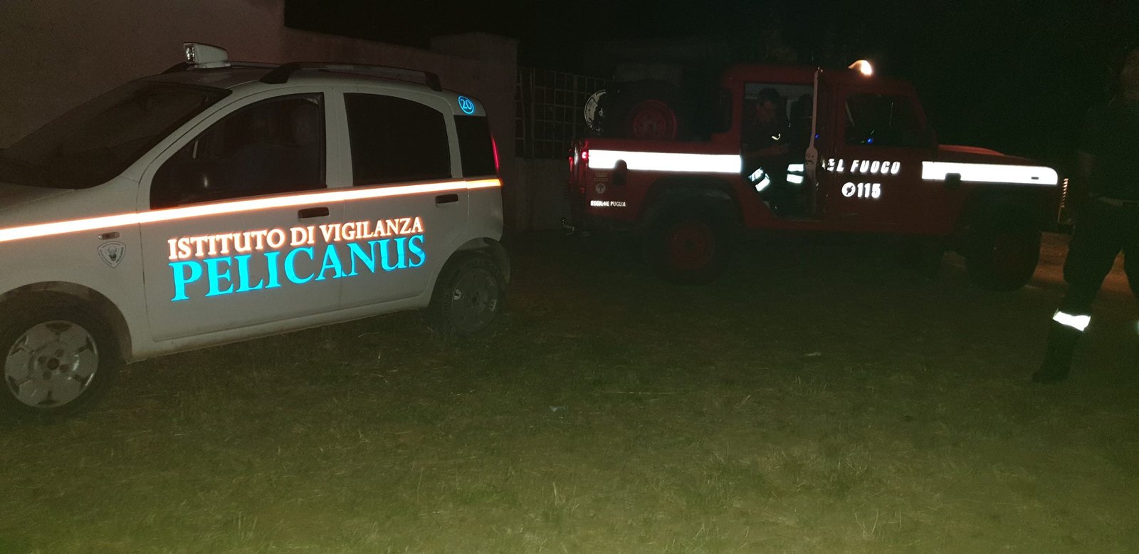 68475253 509602139845947 8519468390719422464 n