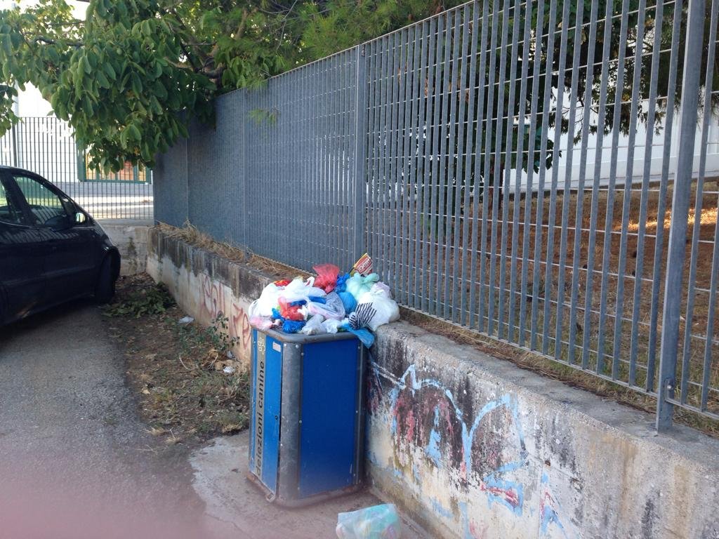 WhatsApp Image 2019-08-19 at 21.48.35